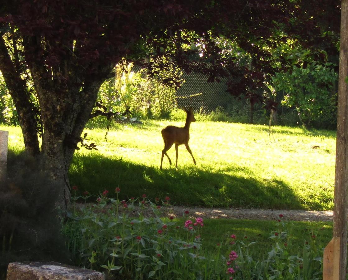 Fermette Dans Les Pays De La Loire Villa Izé Eksteriør billede