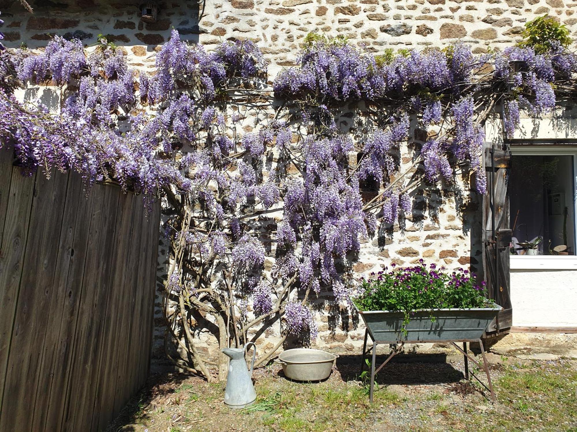 Fermette Dans Les Pays De La Loire Villa Izé Eksteriør billede