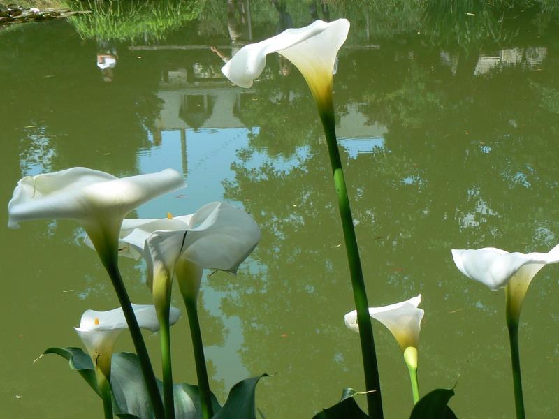 Fermette Dans Les Pays De La Loire Villa Izé Eksteriør billede