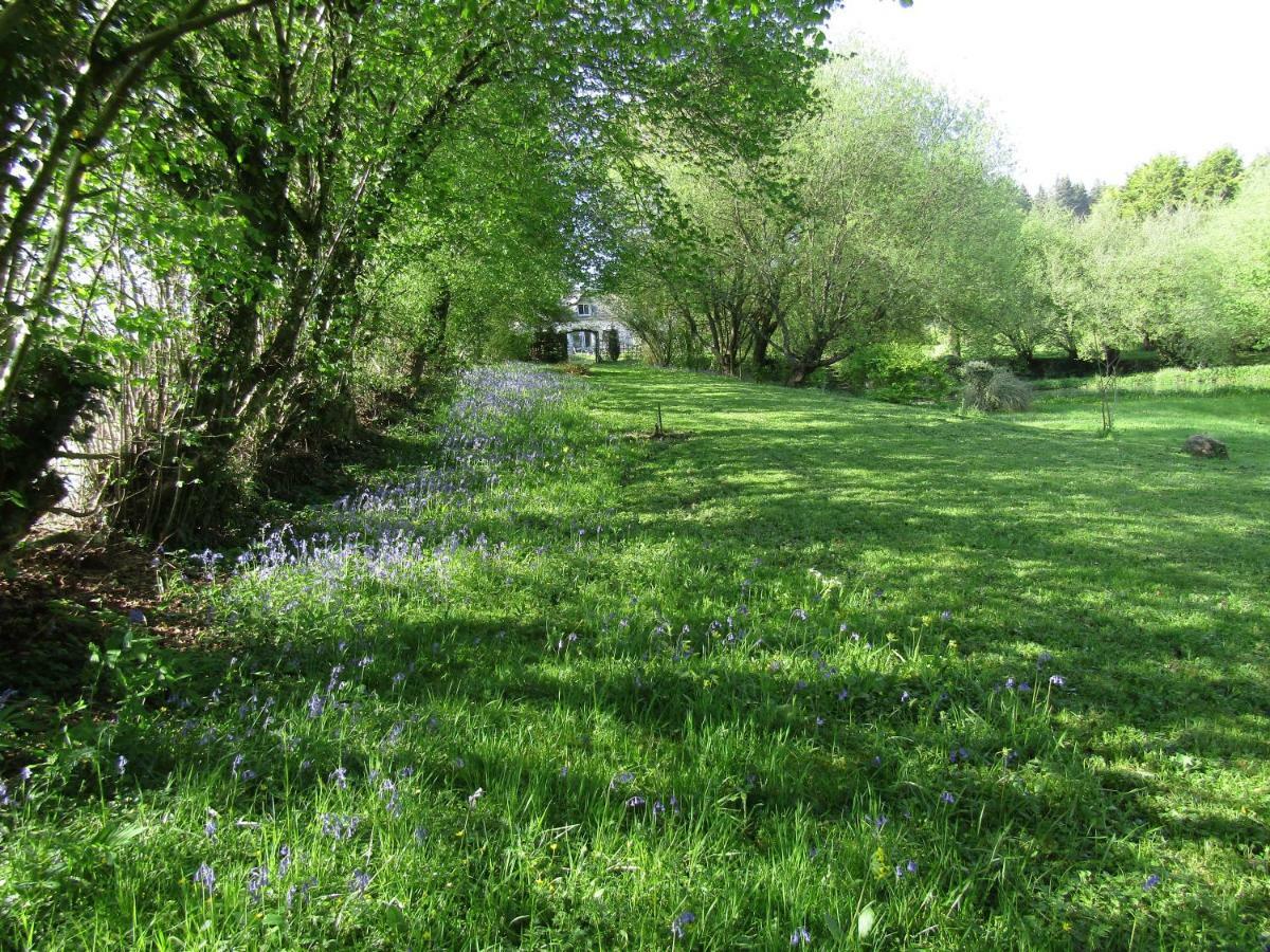 Fermette Dans Les Pays De La Loire Villa Izé Eksteriør billede